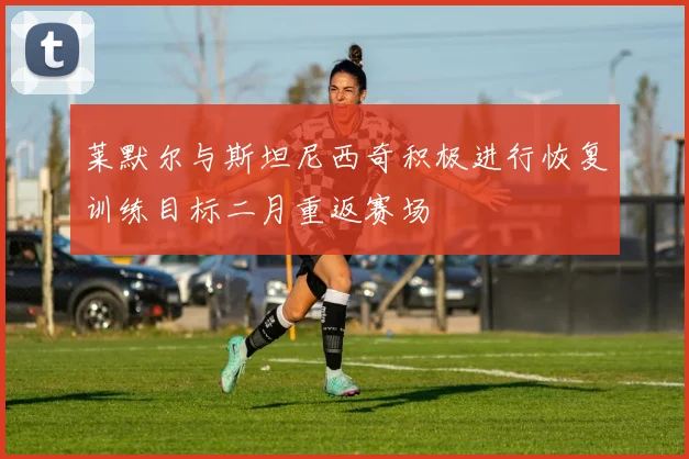 莱默尔与斯坦尼西奇积极进行恢复训练目标二月重返赛场