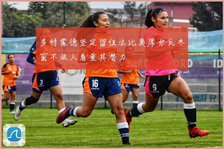 多特蒙德坚定留住法比奥席尔瓦冬窗不放人看重其潜力